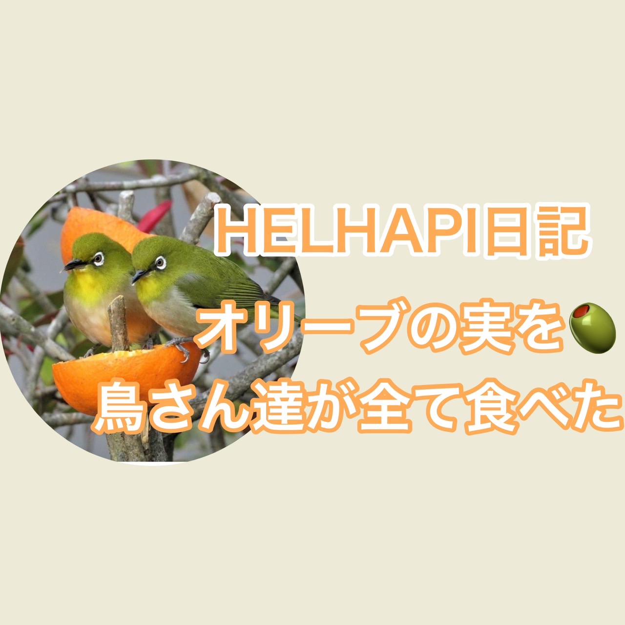 枚方公園にあるダイエットジムHELHAPIの素敵な1日